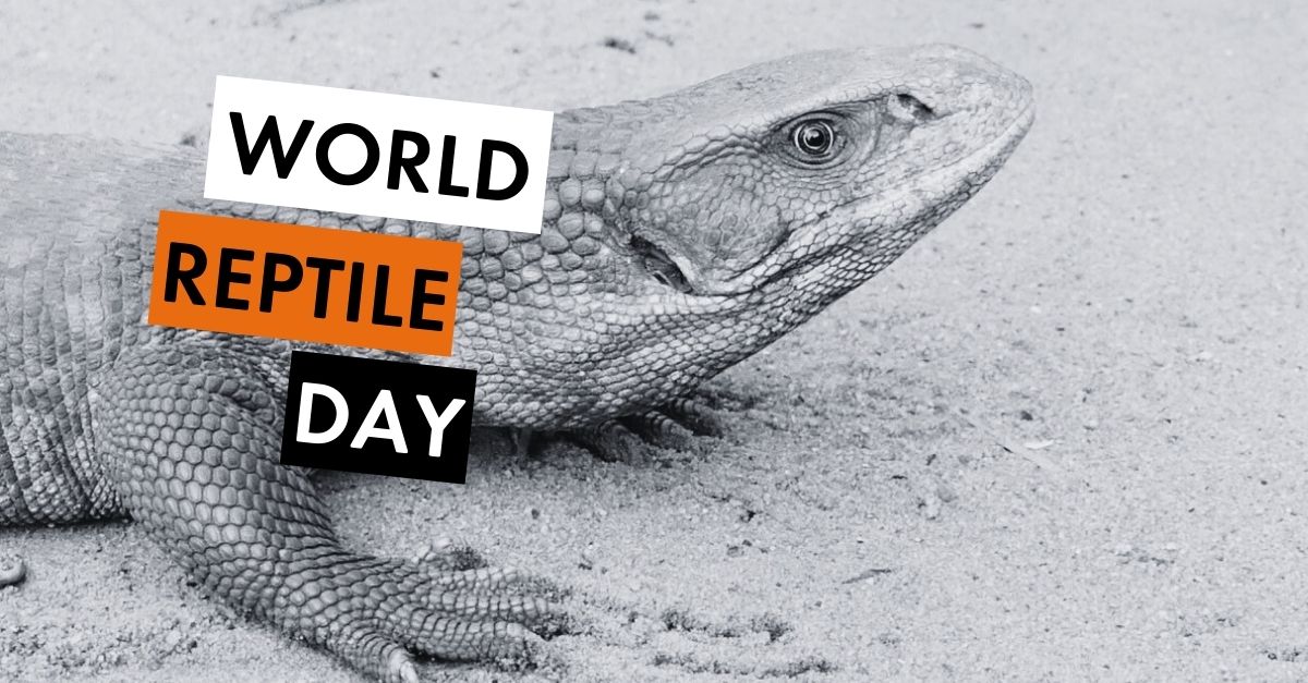 World Reptile Day Awareness for Reptiles