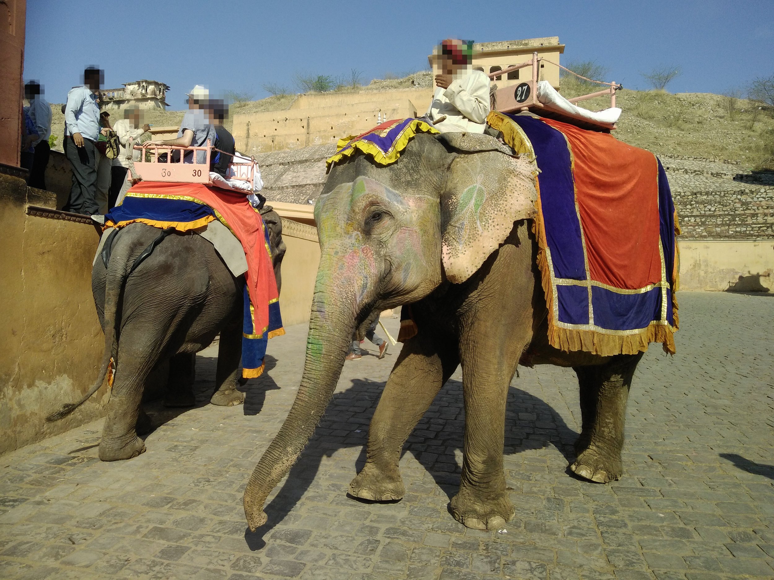 An elephant walking on cobbles with a tourist on their back