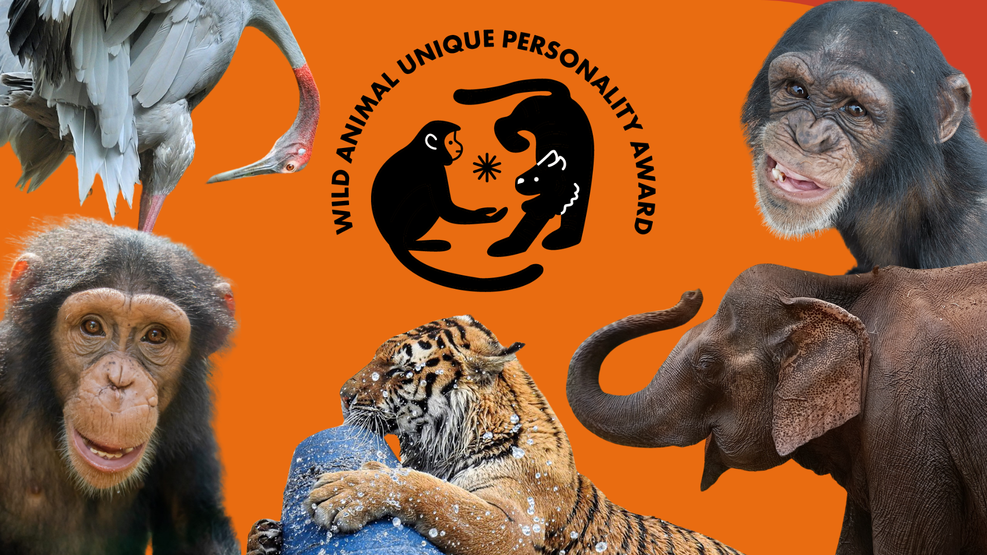 World Animal Day 2024 Vote for Your Favourite Personality